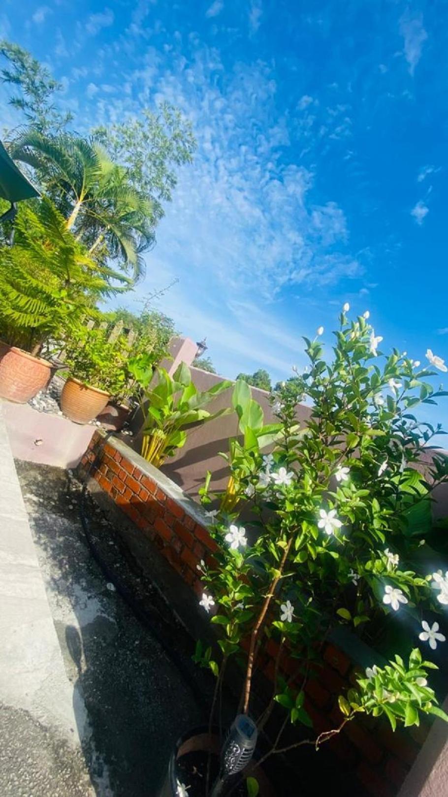 珍珠汽车旅馆 瓜埠 外观 照片